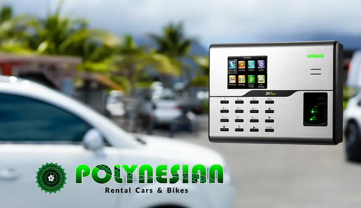 Polynesian Rental