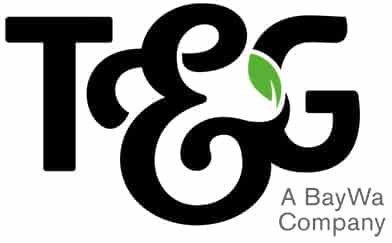 T&G Global Logo